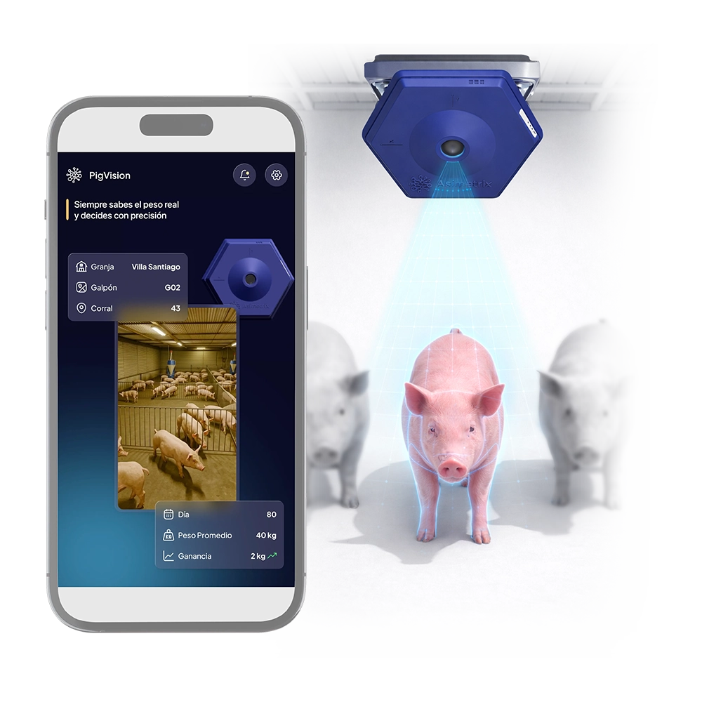 PigVision plataforma de monitoreo